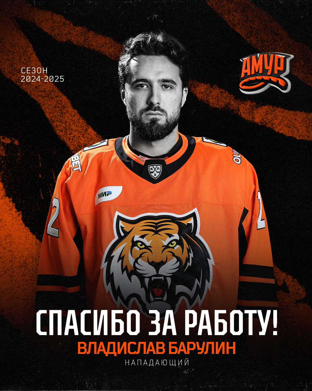 ХК Амур — изображение 12